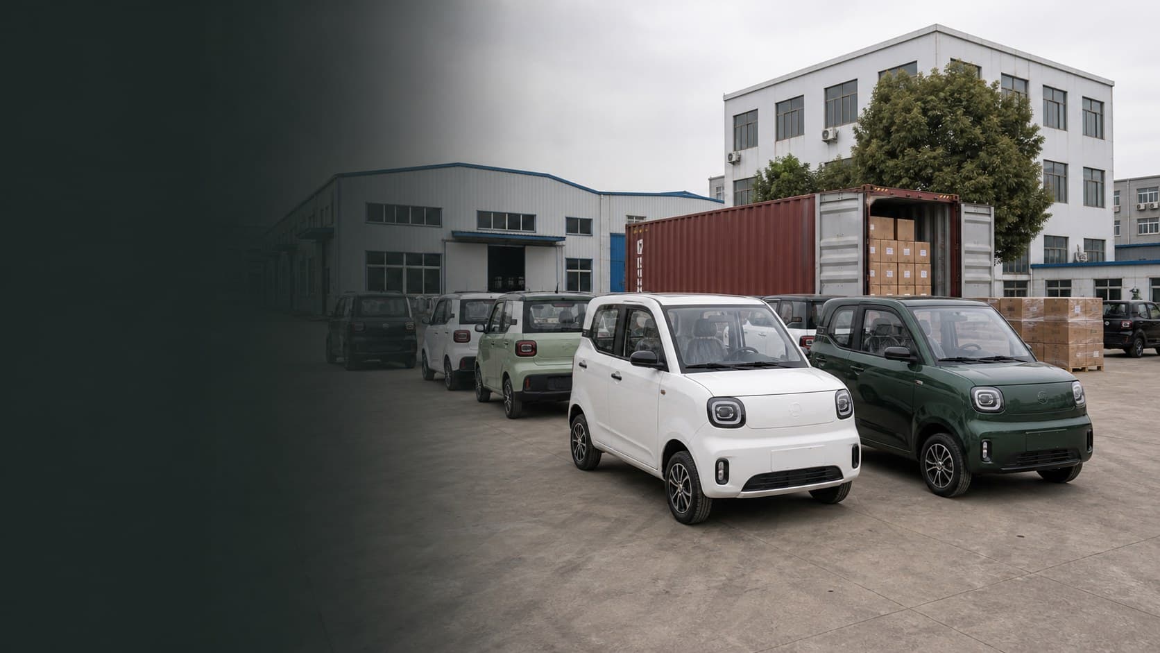 Low-Speed Electric Vehicles